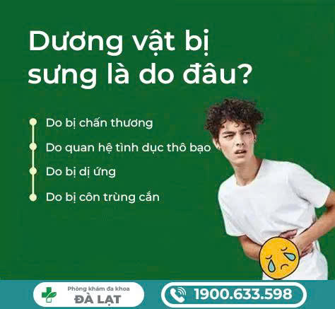 Block Image