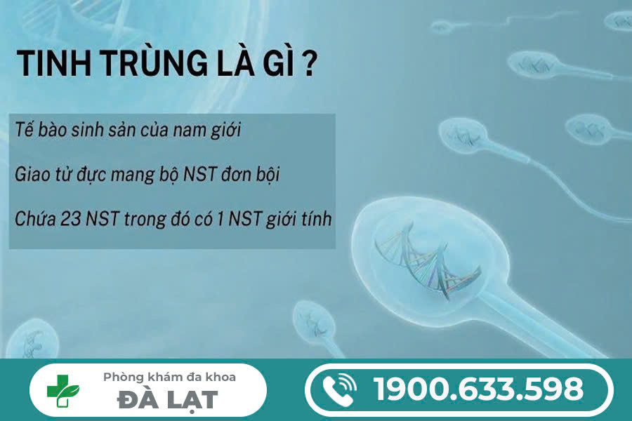 TINH TRÙNG LOÃNG LÀ GÌ? NGUYÊN NHÂN VÀ CÁCH NHẬN BIẾT
