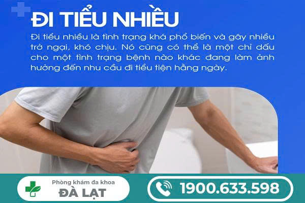 ĐI TIỂU NHIỀU LÀ BỆNH GÌ? GIẢI THÍCH CỦA CHUYÊN KHOA 