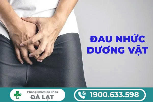 PHƯƠNG PHÁP ĐIỀU TRỊ ĐAU DƯƠNG VẬT 