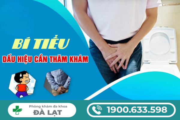 NGUYÊN NHÂN GÂY BÍ TIỂU VÀ CÁCH ĐIỀU TRỊ 
