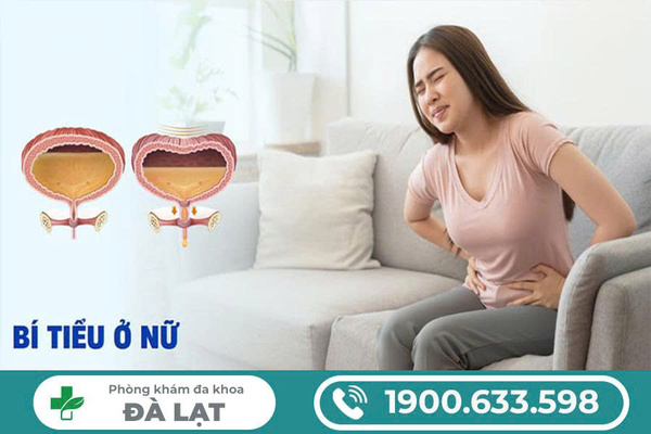 BÍ TIỂU Ở NỮ GIỚI: TRIỆU CHỨNG, NGUYÊN NHÂN VÀ CÁCH ĐIỀU TRỊ HIỆU QUẢ 
