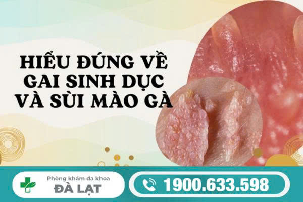 GAI SINH DỤC NAM LÀ GÌ? NGUYÊN NHÂN, DẤU HIỆU NHẬN BIẾT VÀ CÁCH ĐIỀU TRỊ