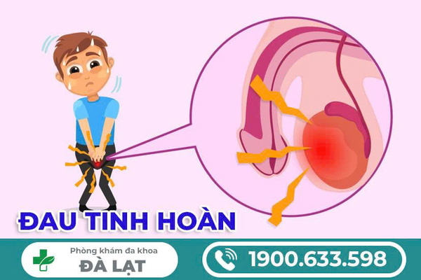 CHI PHÍ CHỮA ĐAU TINH HOÀN HẾT BAO NHIÊU? GIẢI ĐÁP CỦA BÁC SĨ CHUYÊN KHOA