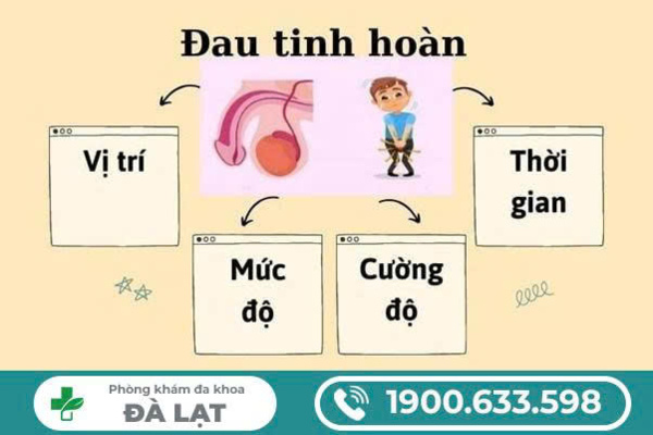 BÁC SĨ TƯ VẤN VỀ ĐAU TINH HOÀN VÀ CÁCH ĐIỀU TRỊ HIỆU QUẢ