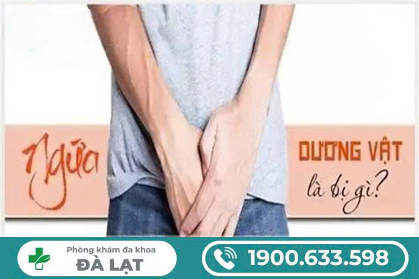 PHƯƠNG PHÁP ĐIỀU TRỊ NGỨA DƯƠNG VẬT AN TOÀN VÀ HIỆU QUẢ HIỆN NAY