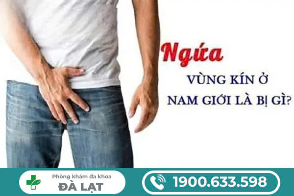 ĐỊA CHỈ KHÁM NGỨA DƯƠNG VẬT AN TOÀN VÀ UY TÍN HIỆN NAY