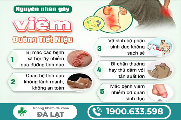 VIÊM ĐƯỜNG TIẾT NIỆU: NGUYÊN NHÂN, DẤU HIỆU VÀ CÁCH ĐIỀU TRỊ HIỆU QUẢ 
