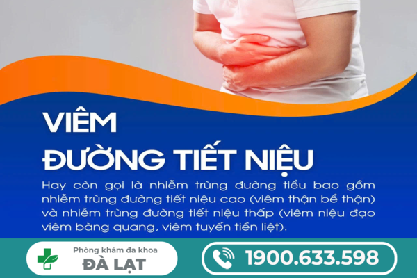 CÁC LOẠI XÉT NGHIỆM GIÚP CHUẨN ĐOÁN VIÊM ĐƯỜNG TIẾT NIỆU