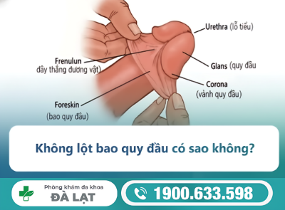 LỘT BAO QUY ĐẦU: NGUYÊN NHÂN, DẤU HIỆU VÀ CÁCH ĐIỀU TRỊ HIỆU QUẢ
