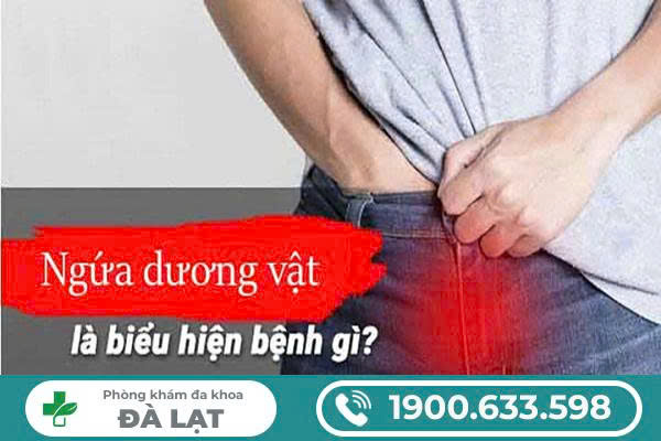NAM GIỚI BỊ NGỨA LỖ SÁO LÀ BỆNH GÌ? CÁCH ĐIỀU TRỊ HIỆU QUẢ HIỆN NAY 