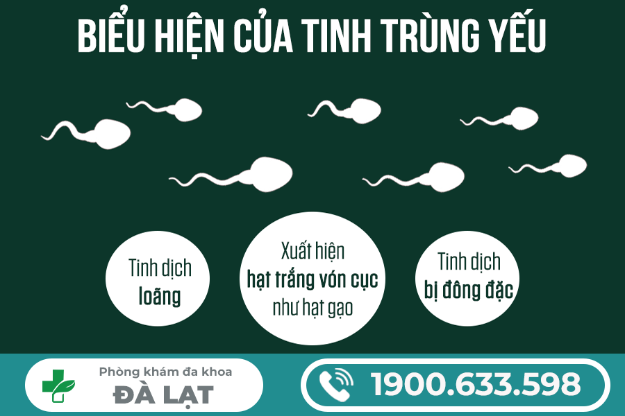 TINH TRÙNG YẾU CÓ SAO KHÔNG? CHUYÊN GIA GIẢI ĐÁP CHI TIẾT CHO NAM GIỚI 