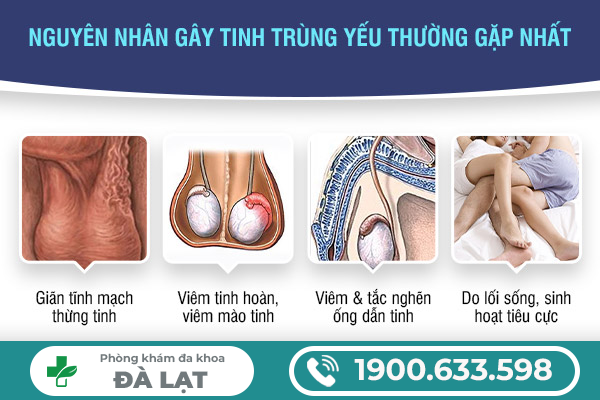 TINH TRÙNG YẾU VÀ LOÃNG: NGUYÊN NHÂN VÀ CÁCH ĐIỀU TRỊ HIỆU QUẢ 