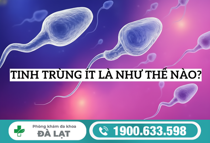 PHƯƠNG PHÁP ĐIỀU TRỊ TINH TRÙNG ÍT HIỆU QUẢ Ở NAM GIỚI