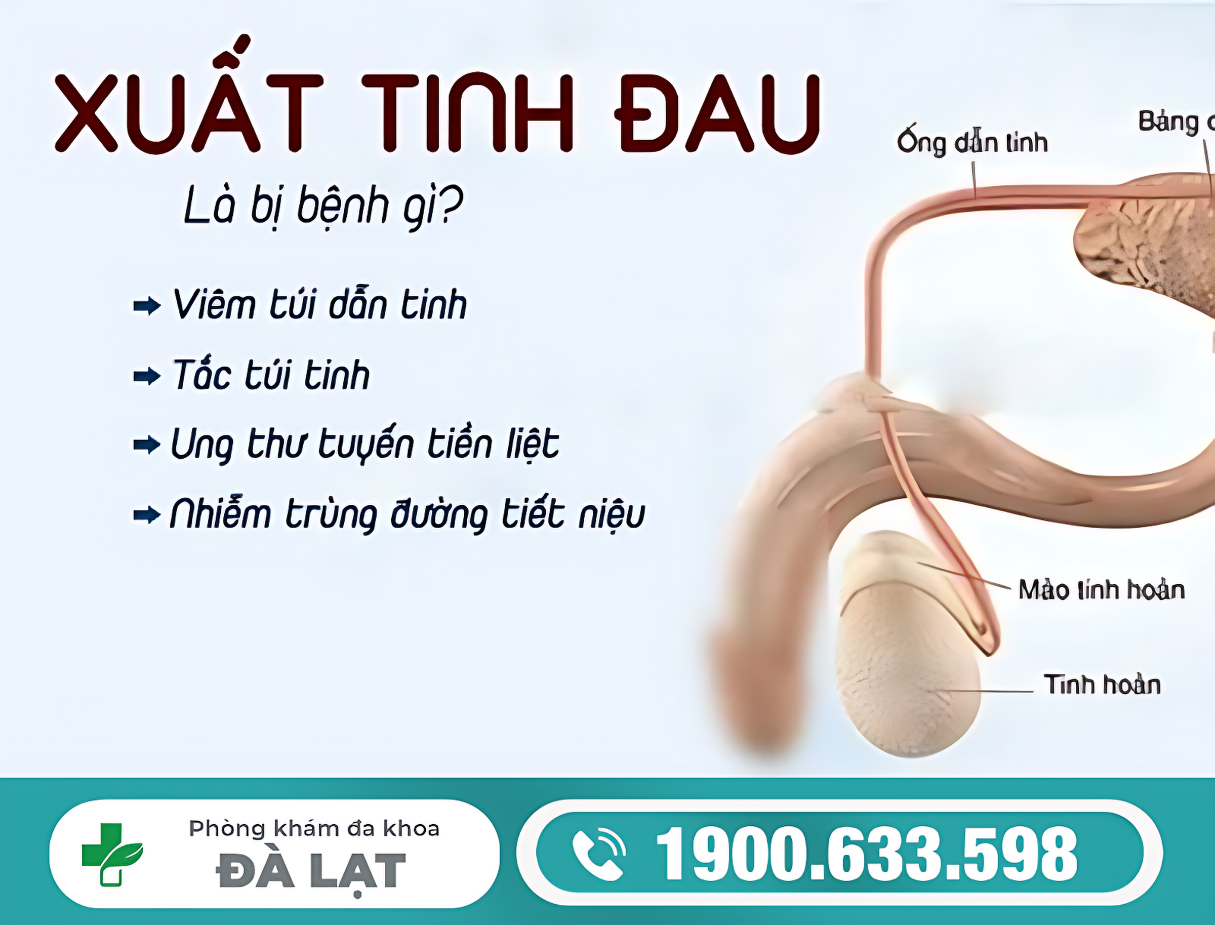 TẠI SAO XUẤT TINH BỊ ĐAU DƯƠNG VẬT? CẢNH BÁO BỆNH NAM KHOA NGUY HIỂM 