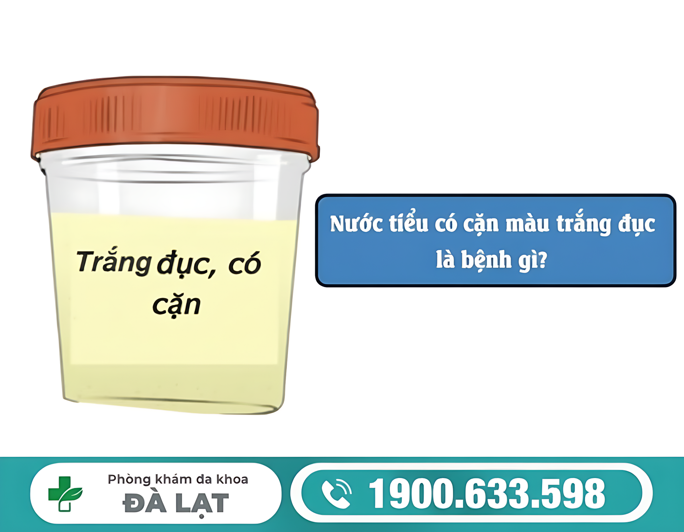 TẠI SAO NƯỚC TIỂU CÓ MÀU TRẮNG ĐỤC Ở NAM GIỚI? BÁC SĨ GIẢI THÍCH CHI TIẾT