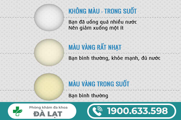 NƯỚC TIỂU TRONG SUỐT Ở NAM VÀ NỮ LÀ BỆNH GÌ? BÁC SĨ GIẢI ĐÁP CHI TIẾT