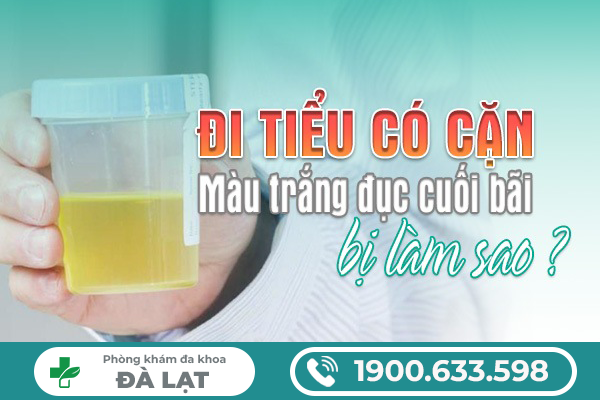 NHẬN BIẾT BỆNH LÝ KHI ĐI TIỂU CÓ CẶN TRẮNG Ở NAM VÀ NỮ