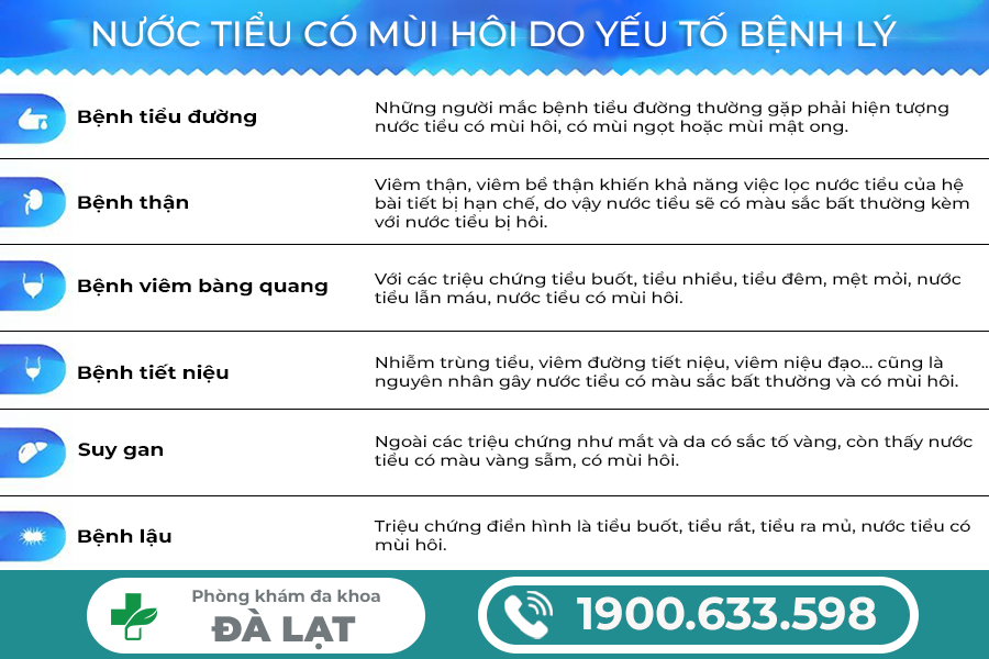 NƯỚC TIỂU CÓ MÙI HÔI Ở NAM VÀ NỮ: NGUYÊN NHÂN VÀ CÁCH ĐIỀU TRỊ HIỆU QUẢ